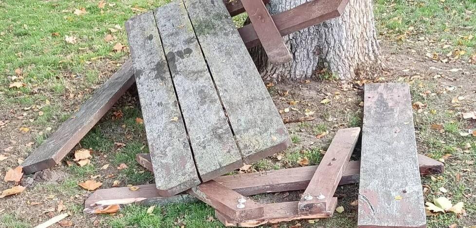 Caso vandalismi a Bosco Mesola, la sindaca attacca l’opposizione