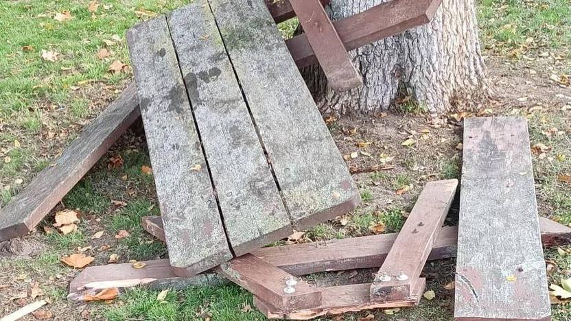 Caso vandalismi a Bosco Mesola, la sindaca attacca l’opposizione