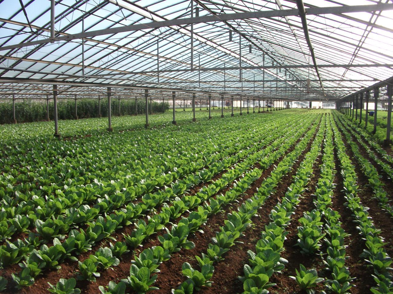 Arrivano le lauree professionalizzanti: dove e come sarà il corso appena approvato