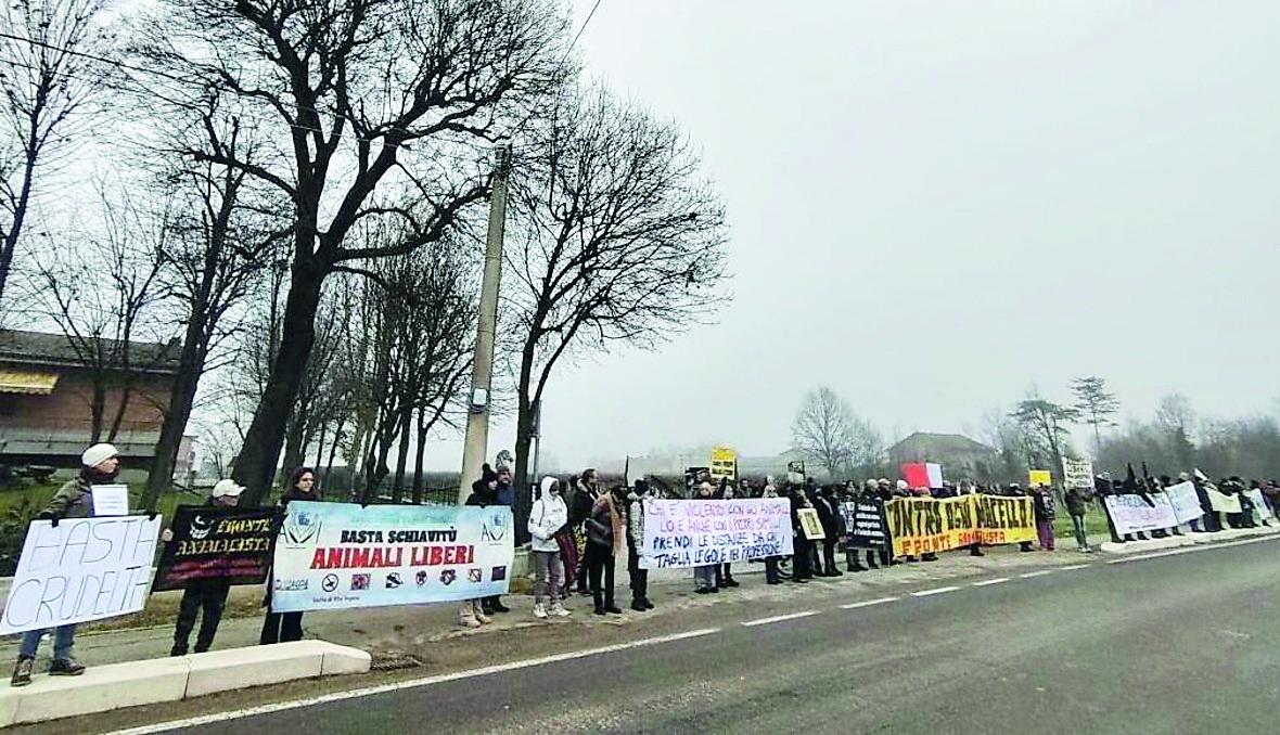Animalisti da tutta Italia al macello di Fosdondo: «Basta torture»
