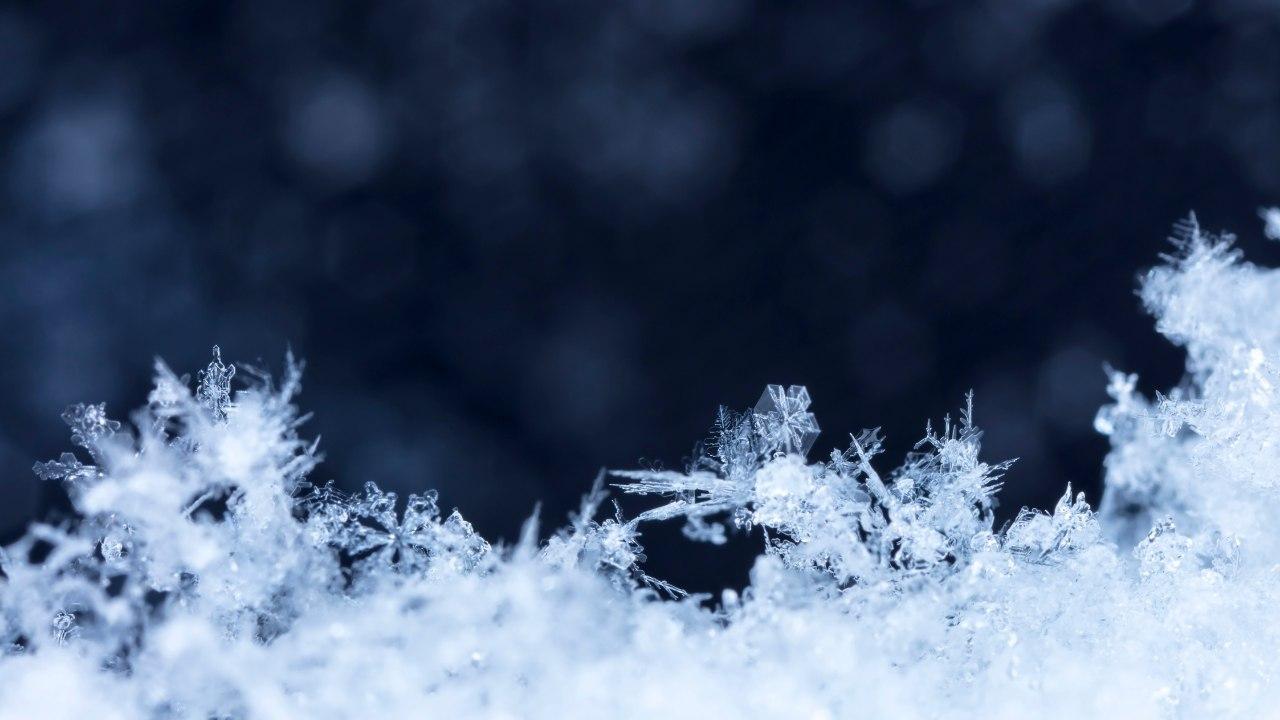 (foto di repertorio)