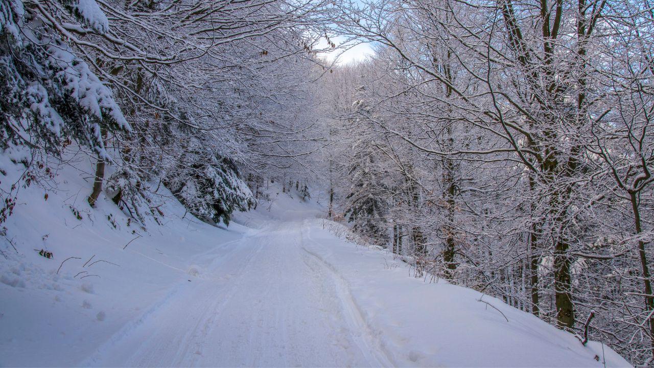 Un sentiero innevato (foto di repertorio)