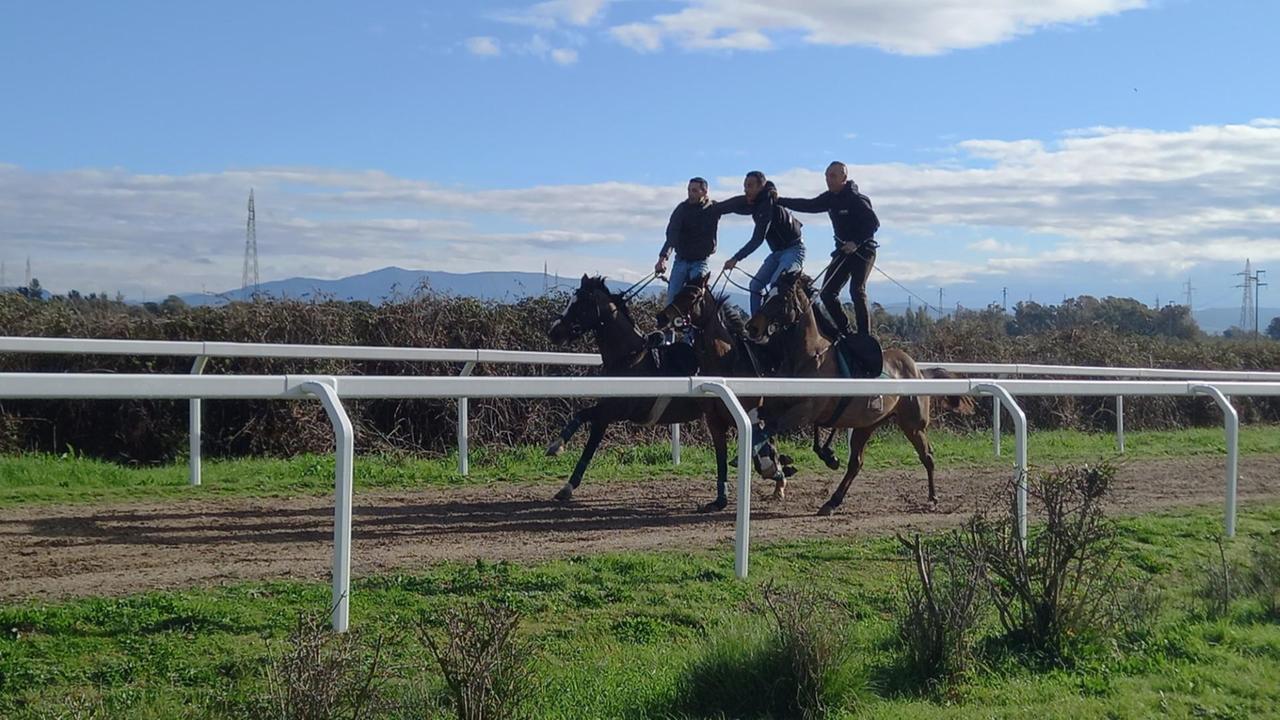 Sartiglia, esplode la protesta dei cavalieri: saltano le selezioni