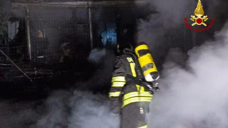 Rogo in una legnaia a Luzzara: il cane dà l’allarme e salva i padroni