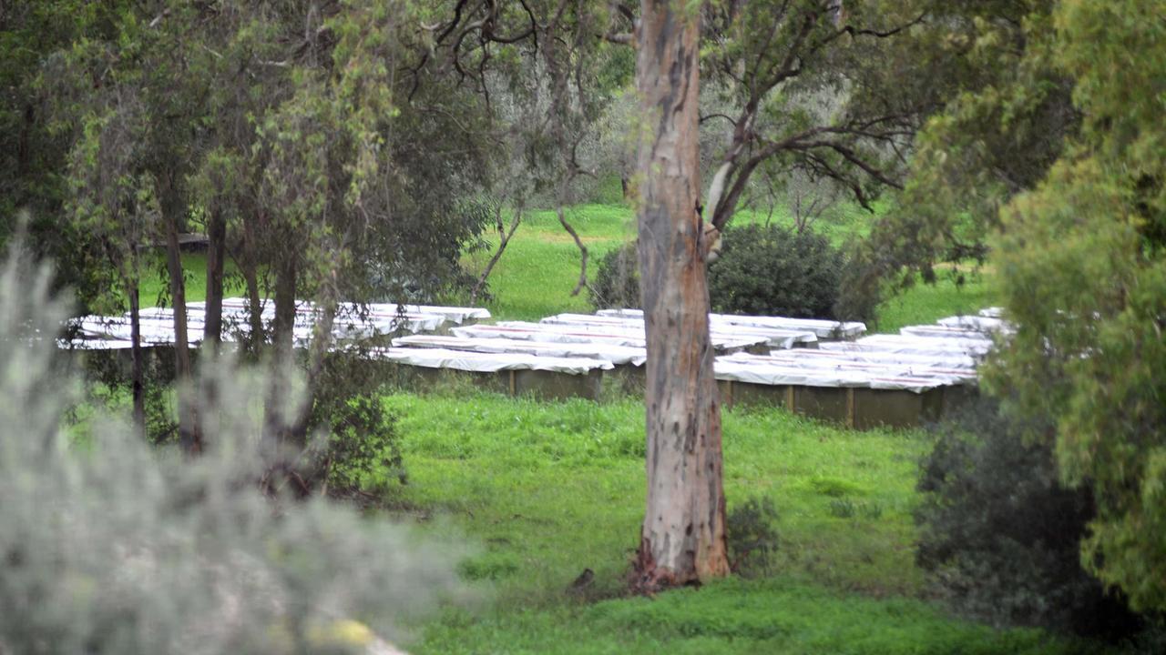 
	Le navi romane oggi all'interno dell'ex Artiglieria

