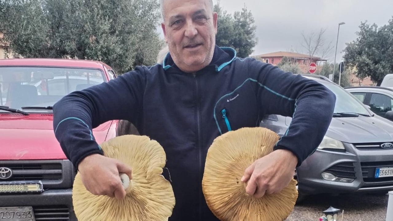 Due antunna giganti trovati nelle campagne del Sassarese