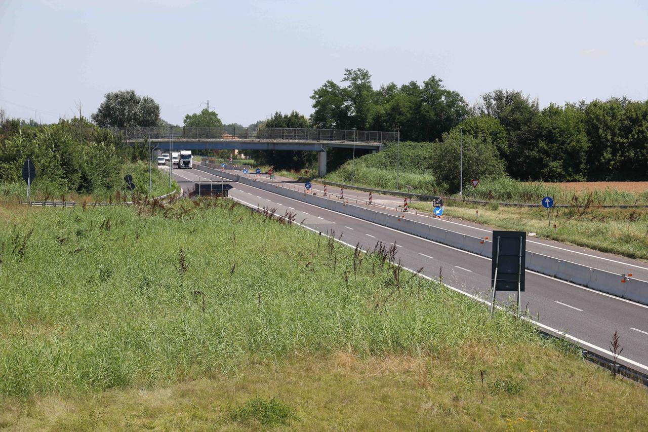 Cani investiti sulla Ferrara-mare, erano scappati per paura dei petardi