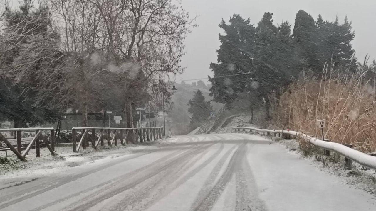 La situazione alla Valle Benedetta (foto Mirco Santarnecchi - Misericordia di Livorno)