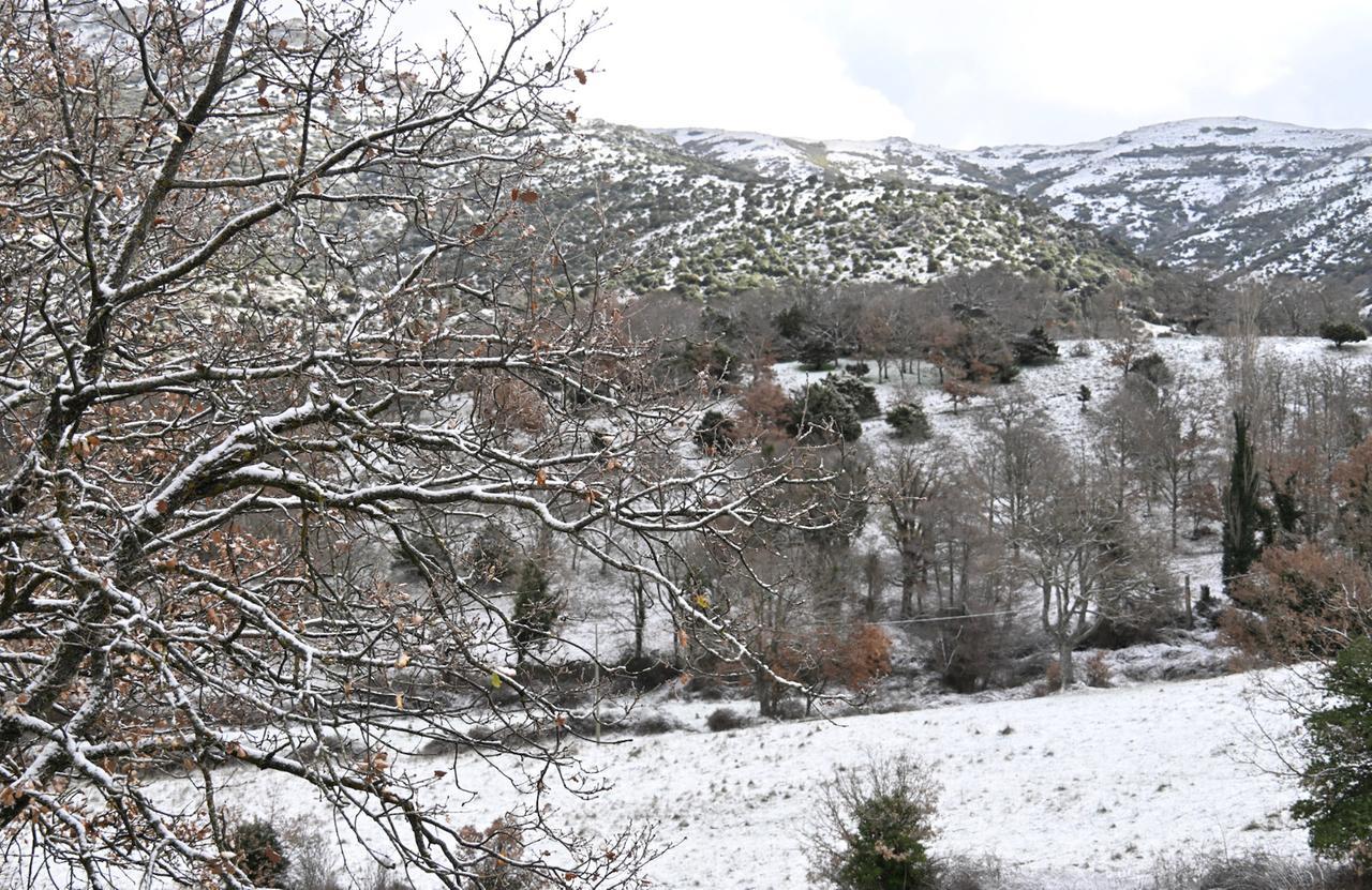 Gelo artico in Sardegna, è allerta neve anche al sud: ecco cosa accadrà nelle prossime ore – VIDEO