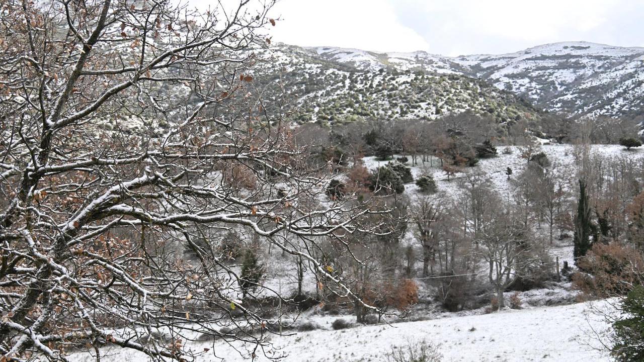 Foto di Massimo Locci