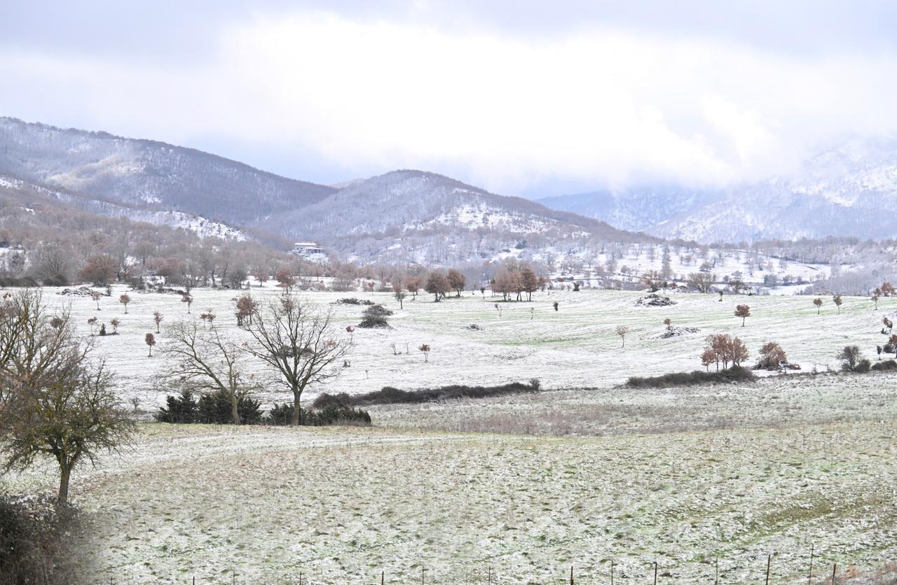 Freddo artico e paesaggi da favola, la Sardegna si risveglia imbiancata