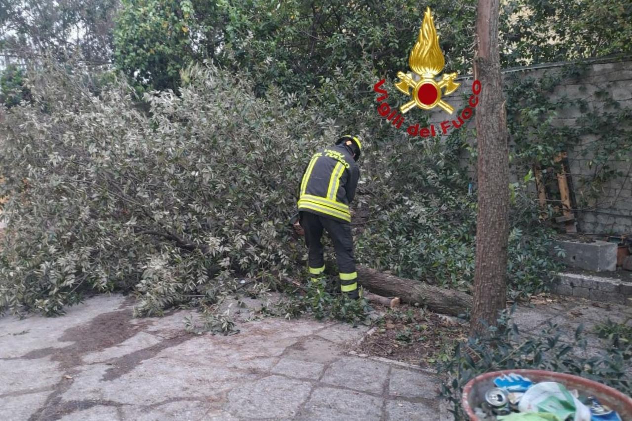 Maltempo nell’isola, il forte vento abbatte alberi e cavi elettrici: vigili del fuoco al lavoro – ecco dove