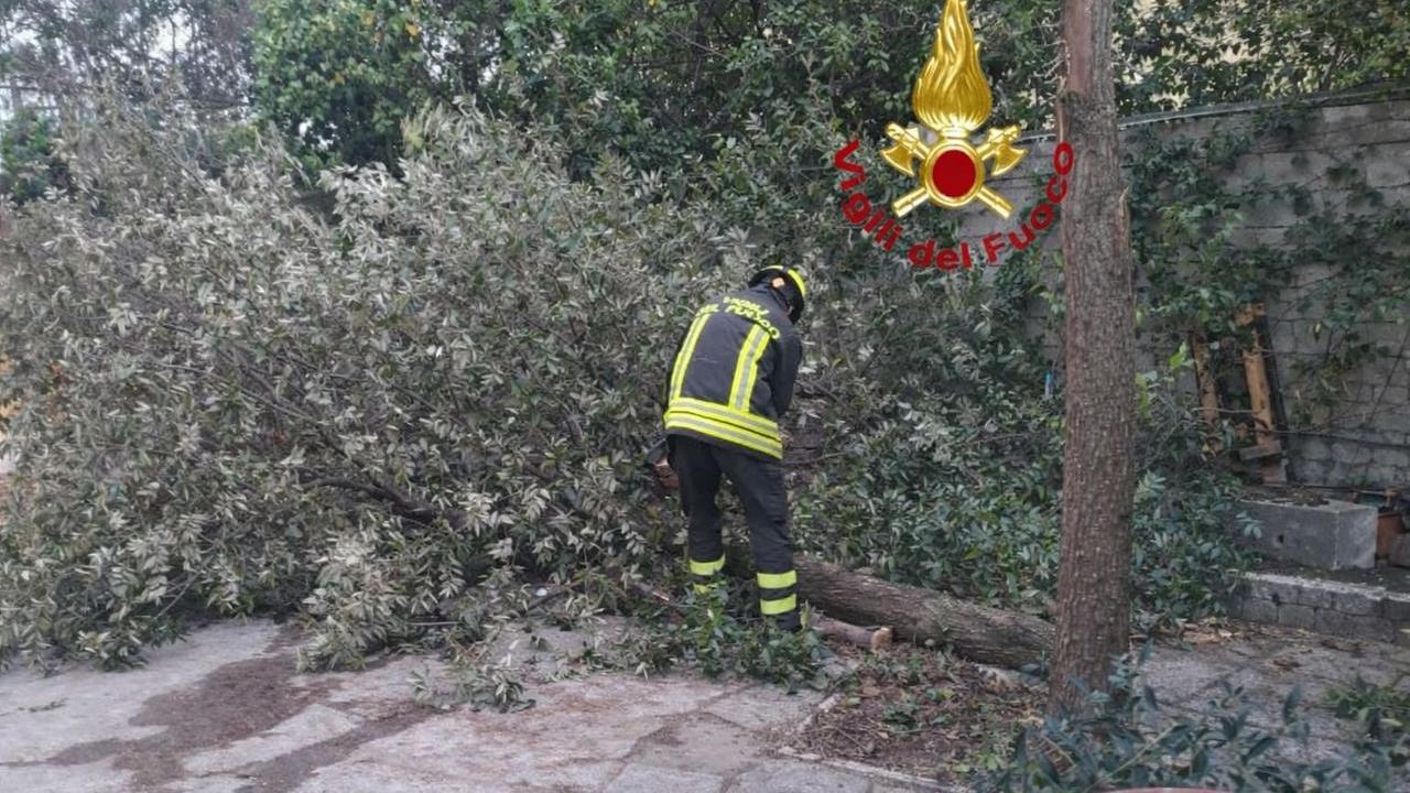 Maltempo nell’isola, il forte vento abbatte alberi e cavi elettrici: vigili del fuoco al lavoro – ecco dove