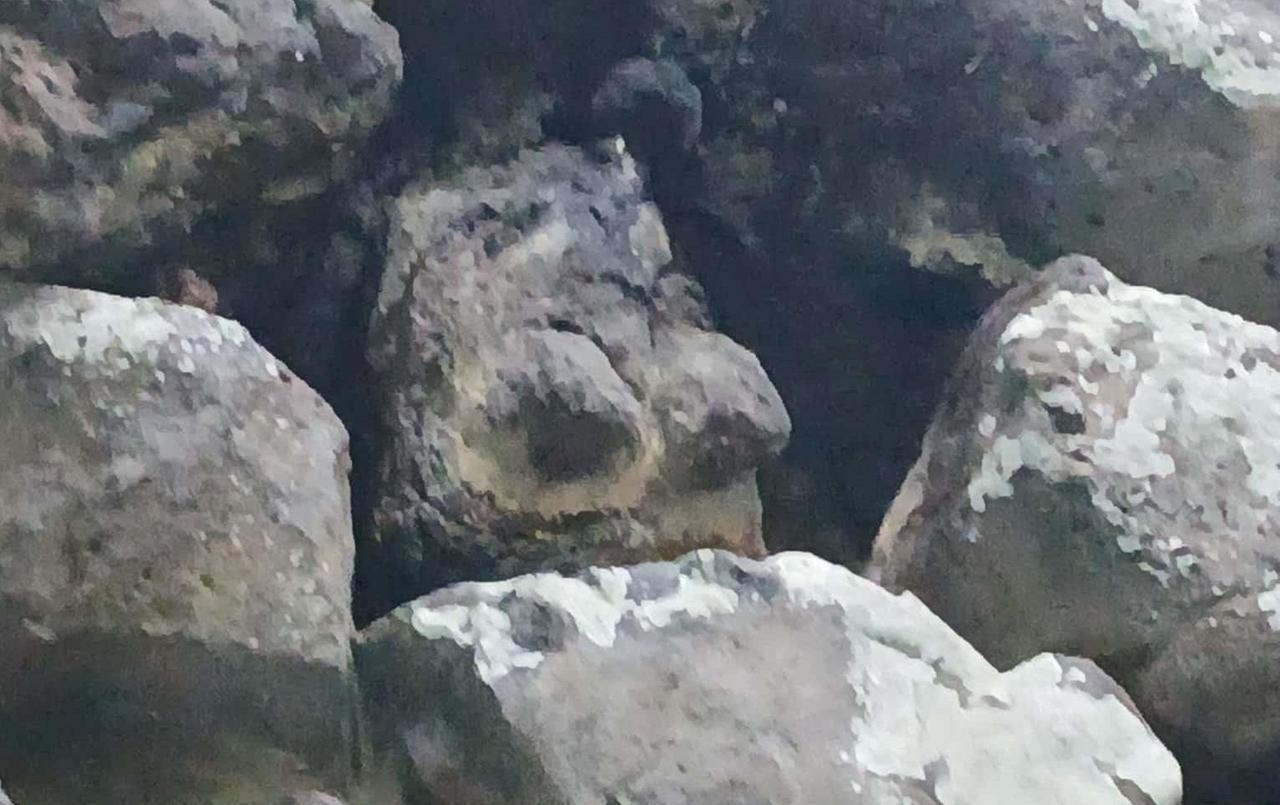 «Ho trovato una dea madre scolpita dentro un nuraghe» e consegna le foto ai carabinieri