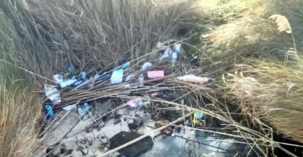 Rive dello stagno invase dai rifiuti, Manca: «Ecosistemi a rischio»