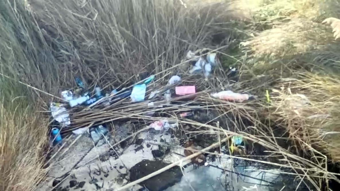 Rive dello stagno invase dai rifiuti, Manca: «Ecosistemi a rischio»
