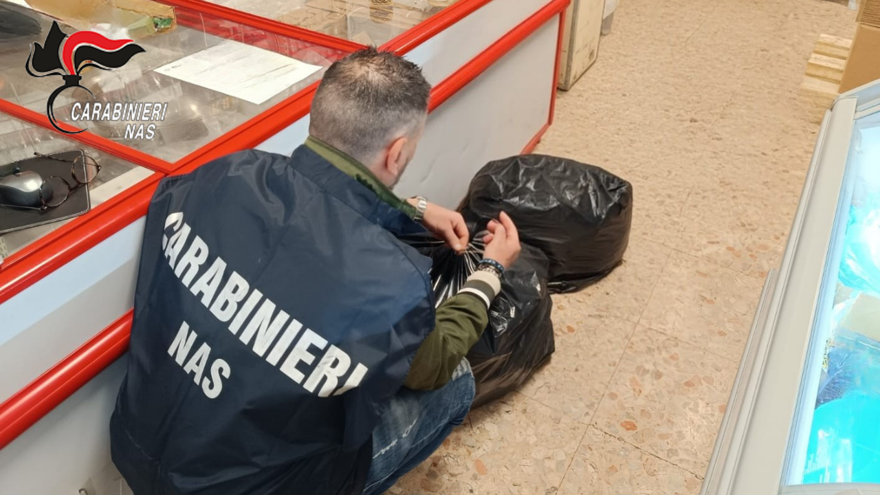 
	Un controllo dei carabinieri del Nas

