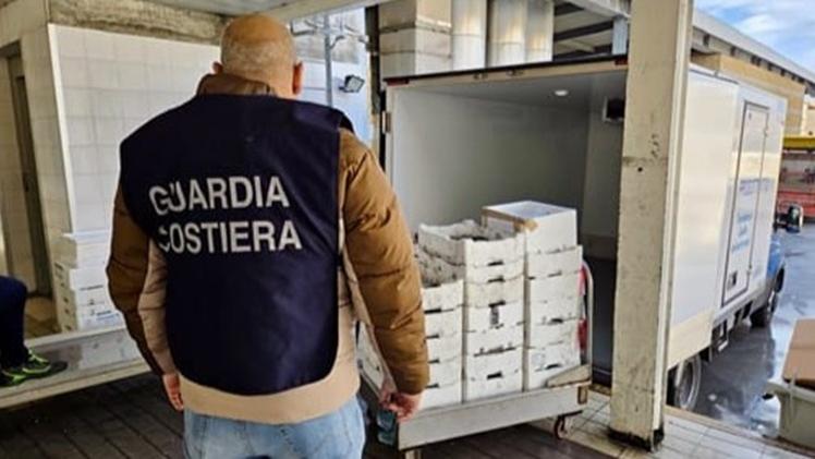 Sassari, prodotti ittici irregolari: sequestri e multe al mercato civico