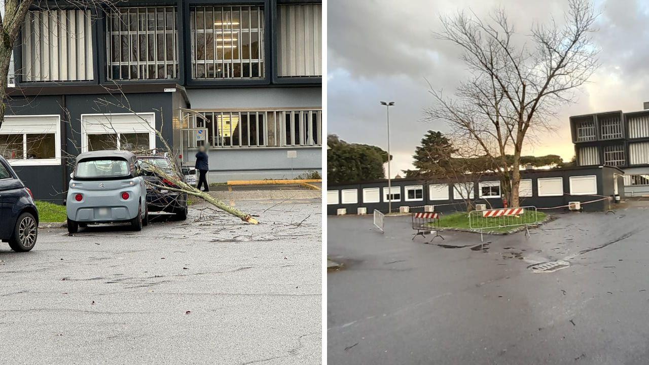 Il ramo caduto e l'area transennata