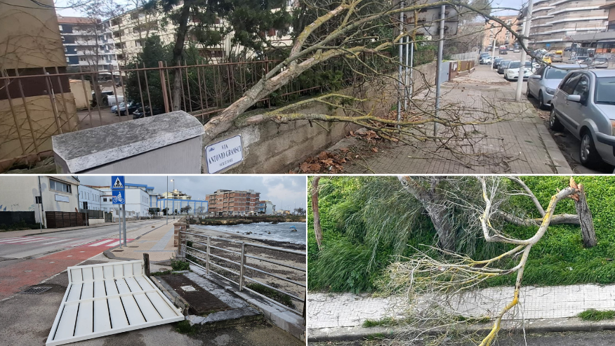 
	Nella foto in alto i rami caduti a Sassari (foto Ivan Nuvoli), in basso Porto Torres

