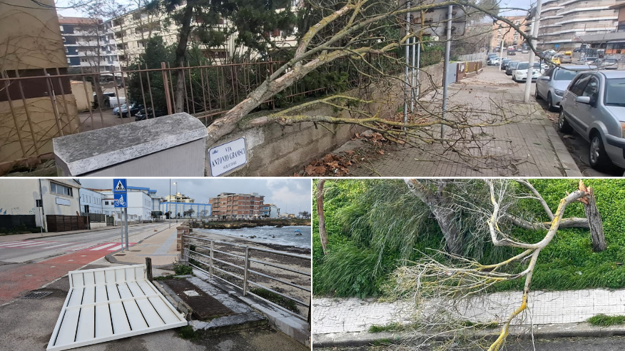 Nella foto in alto i rami caduti a Sassari (foto Ivan Nuvoli), in basso Porto Torres