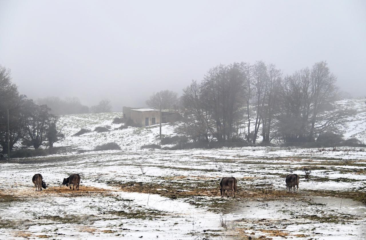 
	<em>(foto&nbsp;Massimo Locci)</em>

