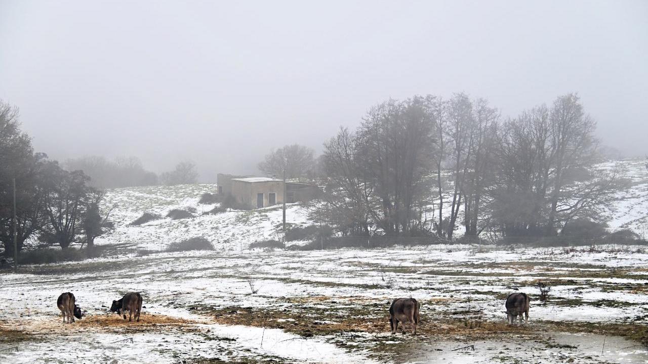 <em>(foto Massimo Locci)</em>