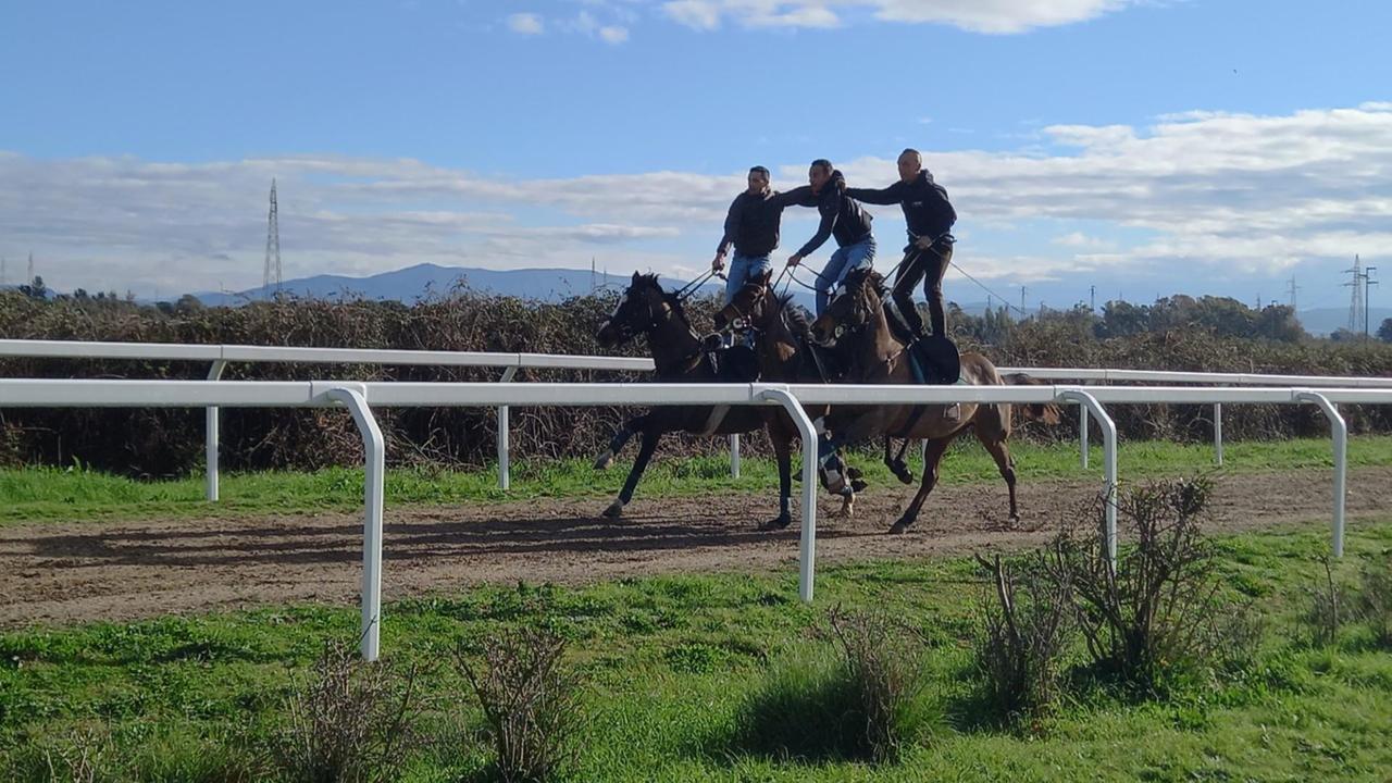 Sartiglia di Oristano, i cavalieri dicono sì alle selezioni ma solo a porte chiuse