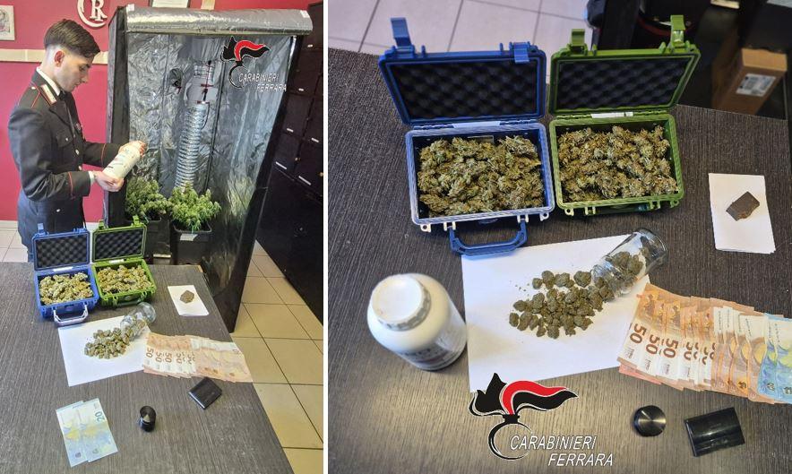 Scoperte serre per cannabis in camera da letto, arrestato 30enne di Goro