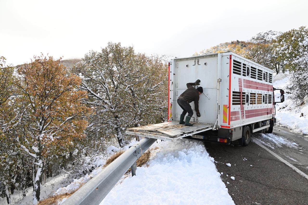Rischio neve e ghiaccio, mezzi dell’Anas al lavoro: ecco le strade e i Comuni interessati – VIDEO