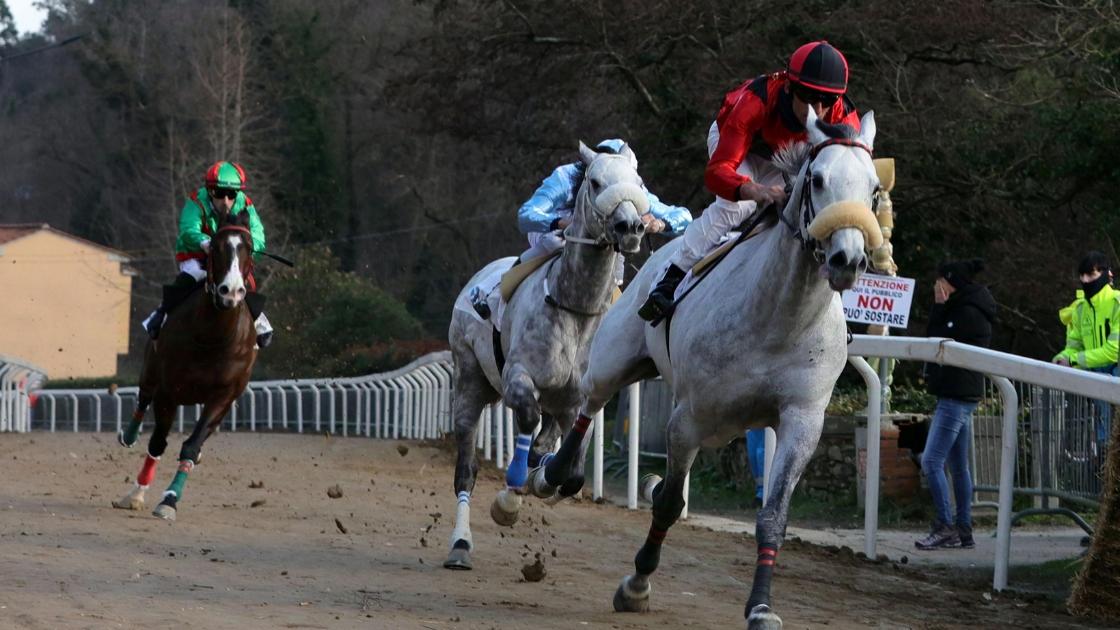 
	Tutto pronto per il Palio di Buti 2026&nbsp;

