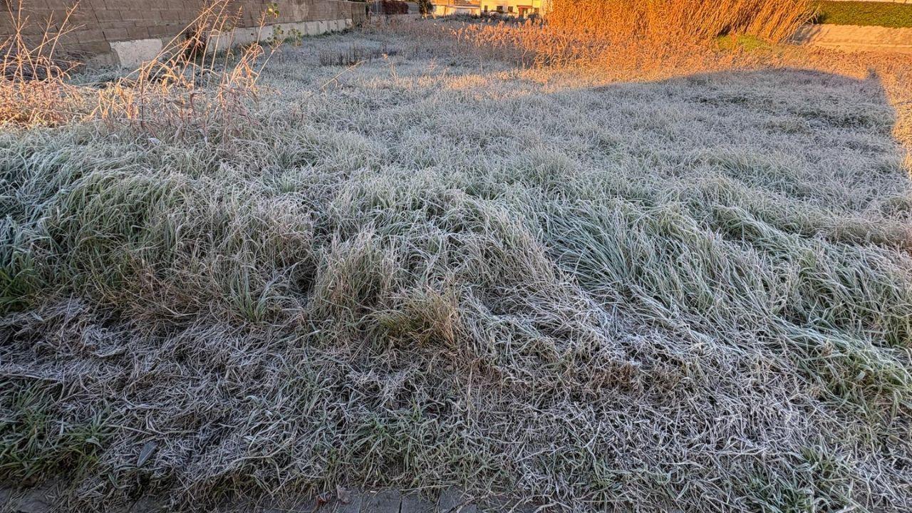 Meteo in Toscana, dal «risveglio glaciale» alla pausa mite. Ma l’inverno rigido non è finito: «Quando potrebbe tornare la neve»
