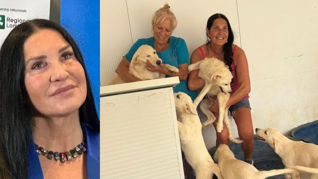 
	L'eurodeputata Lara Magoni, a destra durante la visita al canile della Lida a Olbia

