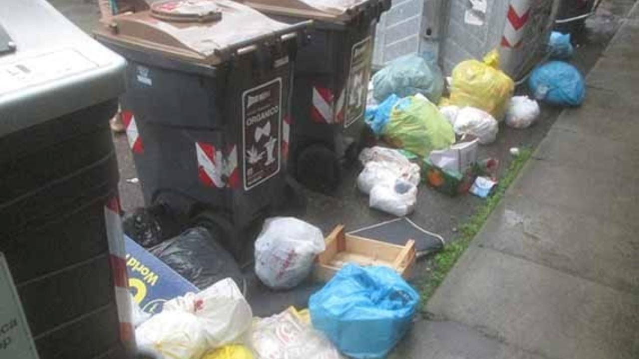 Rifiuti abbandonati in via Lendinara