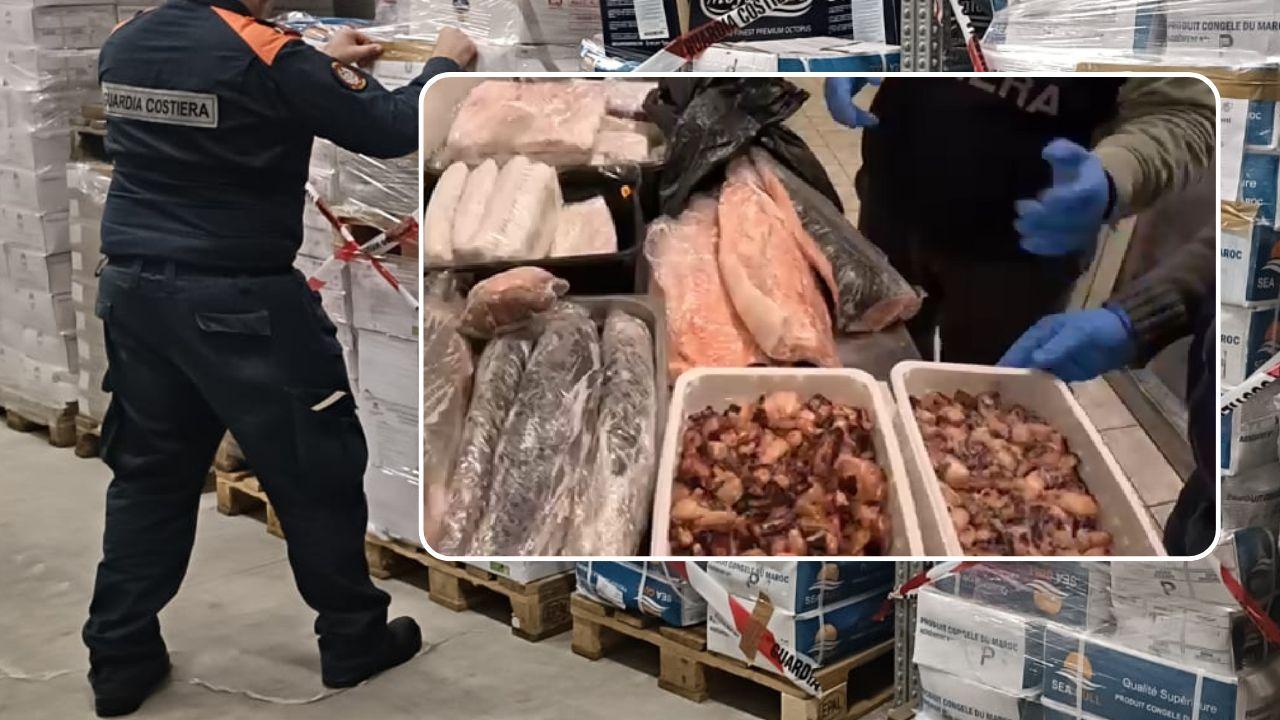 Sassari e Nuoro, 28 tonnellate di pesce surgelato sequestrate: ecco cosa è successo