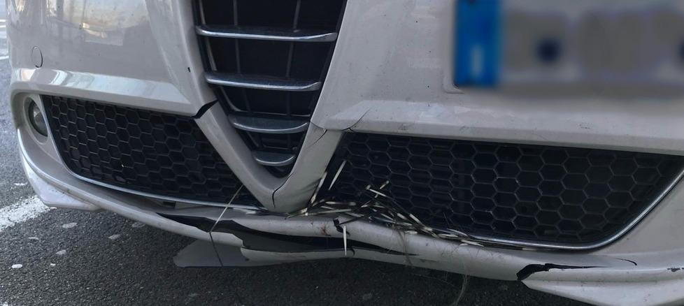 Lucca, auto danneggiata da un istrice: Società Autostrade condannata a risarcire<br type="_moz" />
