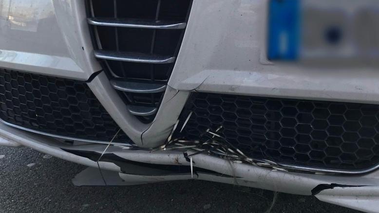 Lucca, auto danneggiata da un istrice: Società Autostrade condannata a risarcire<br type="_moz" />