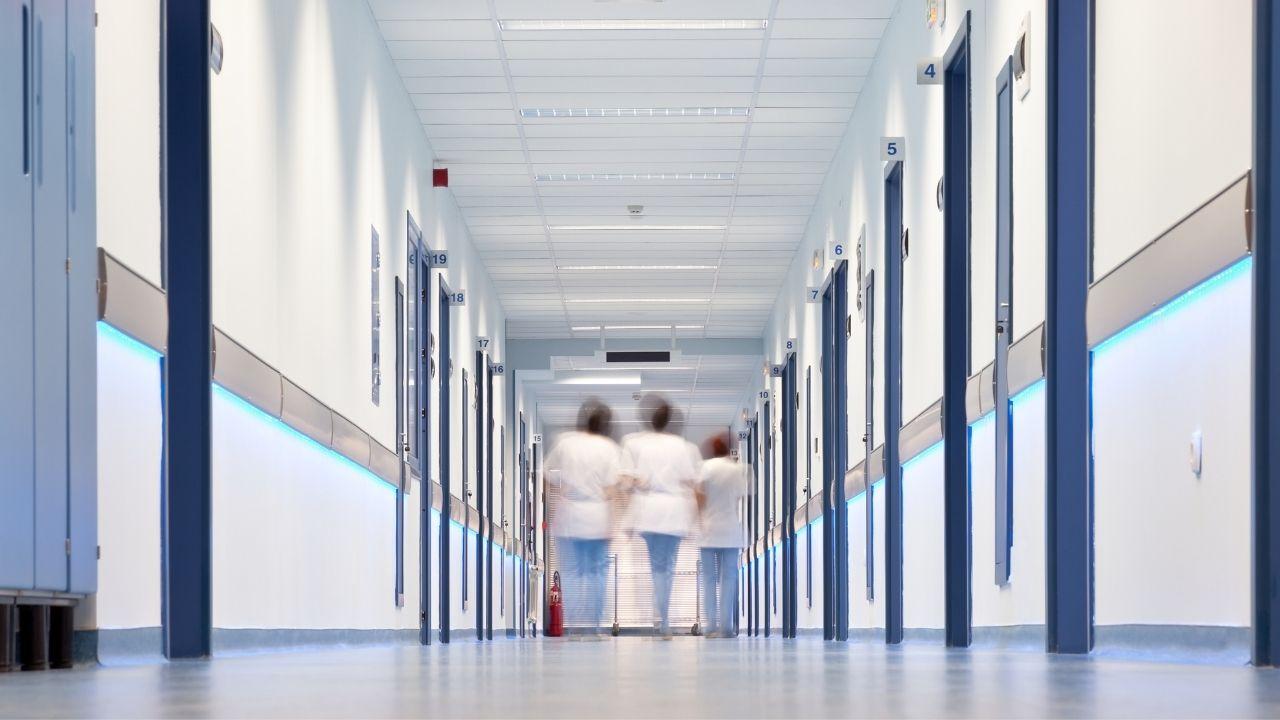 
	(foto di repertorio)

