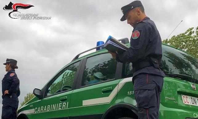 
	Due carabinieri forestali (foto d'archivio)

