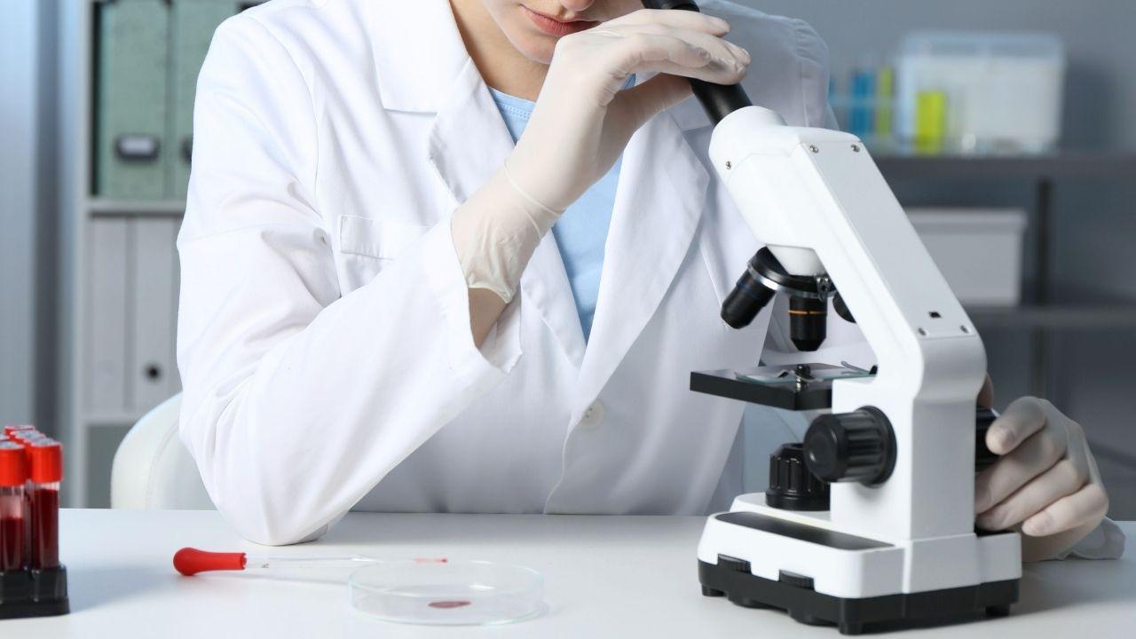 (foto di repertorio)