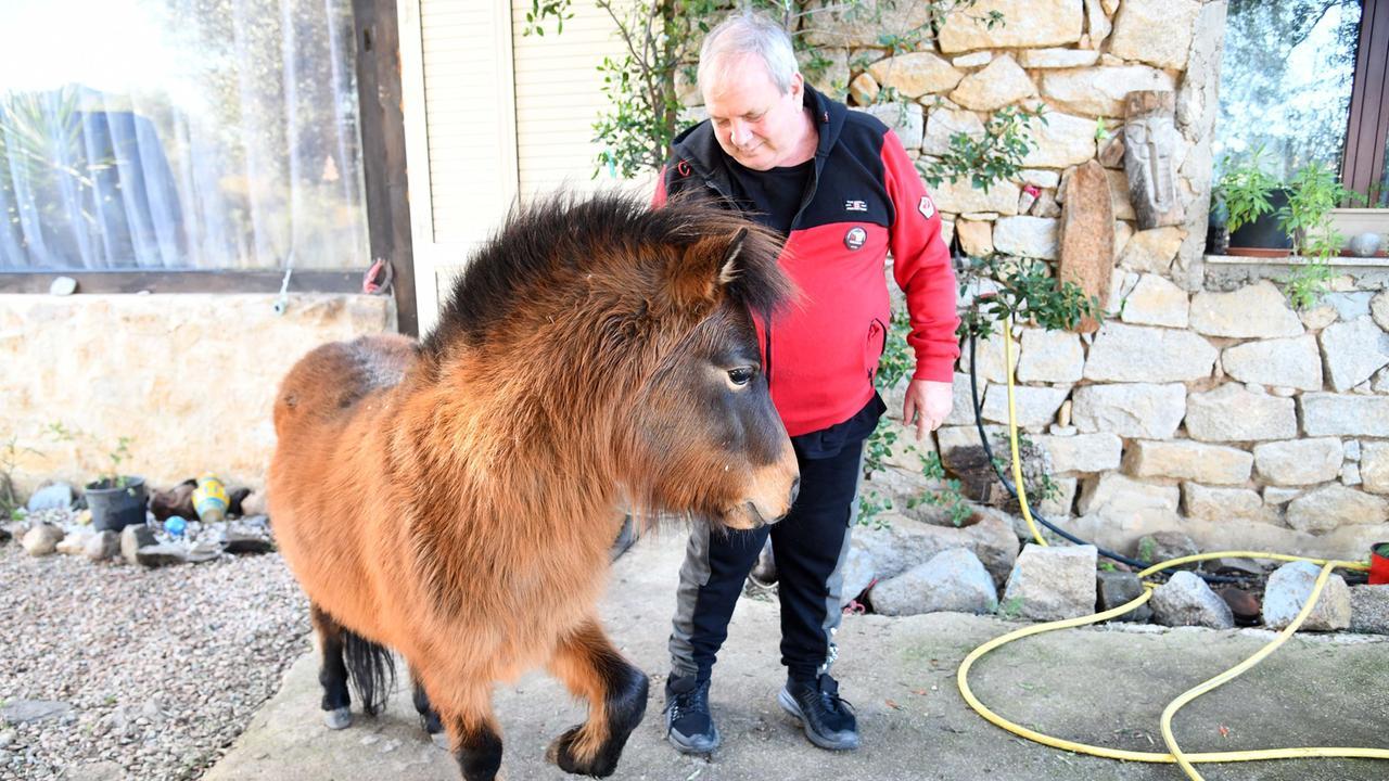 Priamo Casu con Thor, il cavallino che batte lo zoccolo per contare
