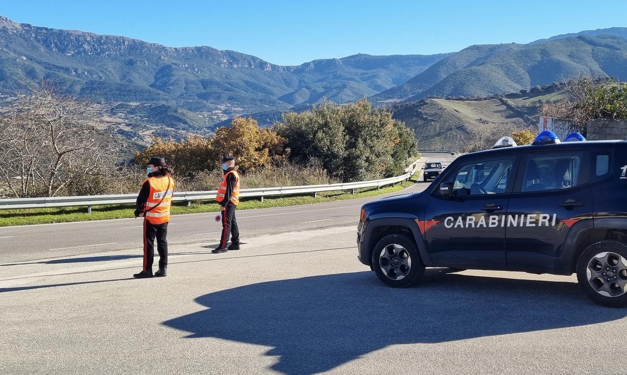 Truffa ai danni dell’Unione europea: sequestro da 115mila euro a un’azienda agricola