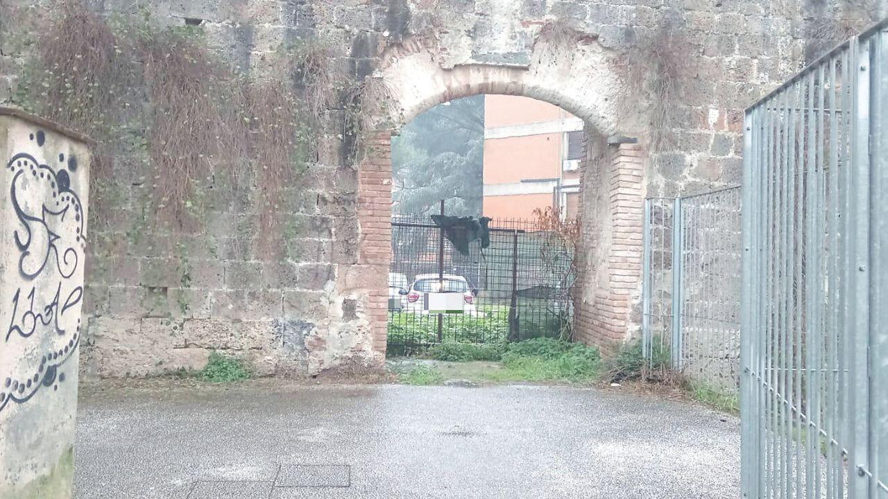 Nella foto il varco nelle mura che metterebbe in comunicazione diretta la zona di Don Bosco-via Garibaldi con il quartiere di San Francesco