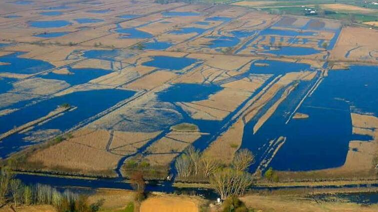 Il Padule di Fucecchio riconosciuto area umida di rilievo internazionale
