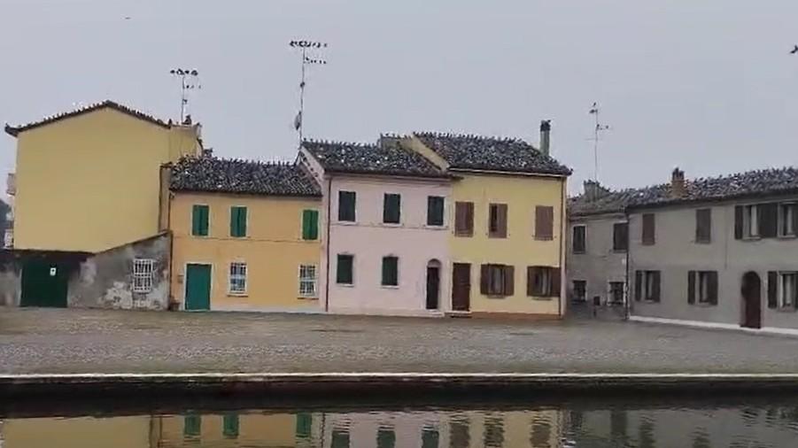 Comacchio invasa dai colombi: «Non dategli da mangiare»