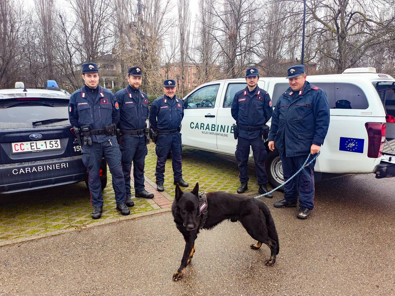Dopo la morte di Kida per un boccone avvelenato ora c’è Freddy ad aiutare i carabinieri forestali a setacciare i parchi