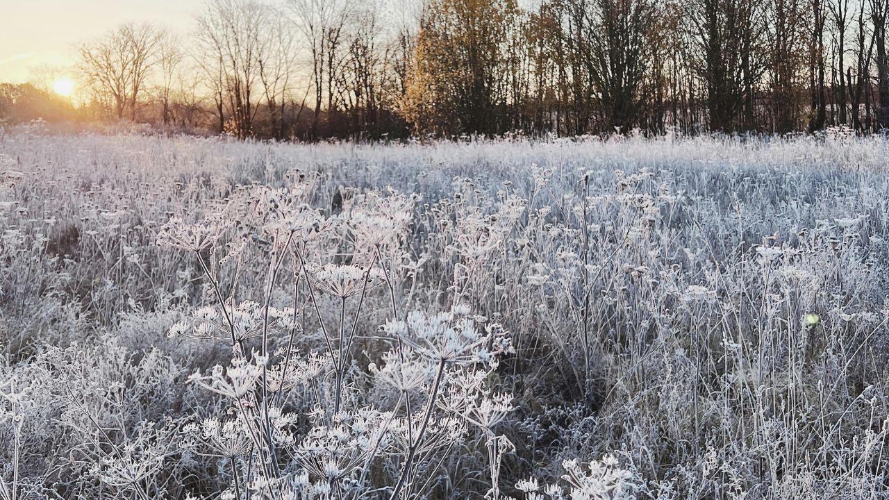 (foto di repertorio)