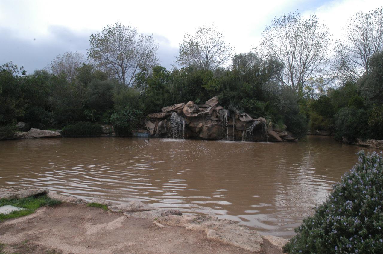 Allerta meteo rossa domani in Sardegna, l’ordinanza di Nizzi a Olbia – tutti i luoghi chiusi