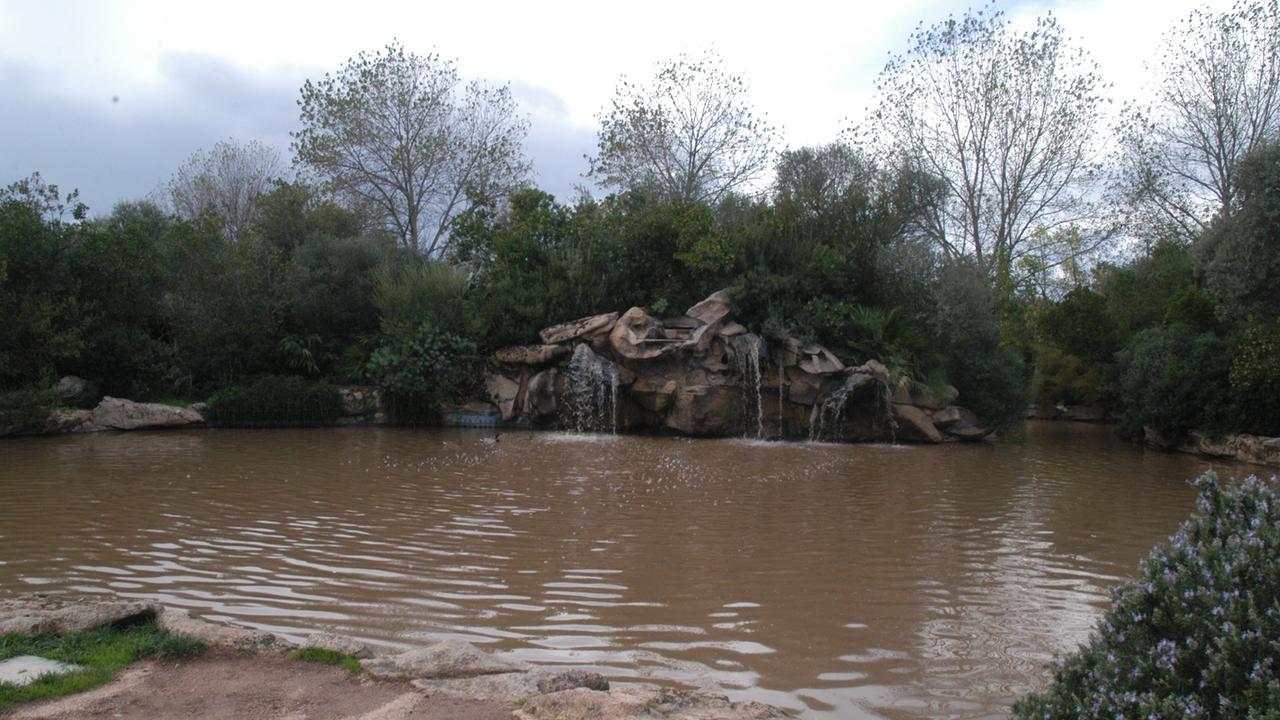La fontana del parco Fausto Noce immersa nel fango in una foto d'archivio