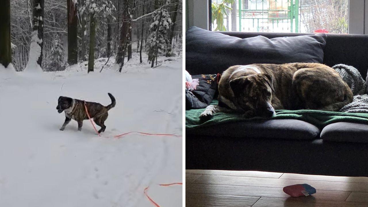 
	Due foto di Teresa: a sx sulla neve in Polonia

